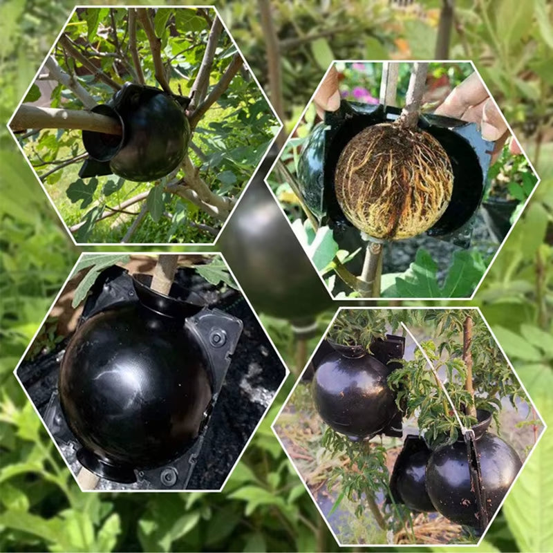 Plant Rooting Device, Plant Root Growing Box High-Pressure Propagation Root Ball for Tree, Reusable Grafting Rooting Ball 1Pcs